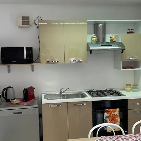 Rose E Frutta - Yellow Daisy *