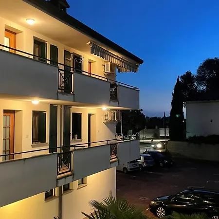 Rose E Frutta - Yellow Daisy