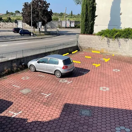 Rose E Frutta - Yellow Daisy