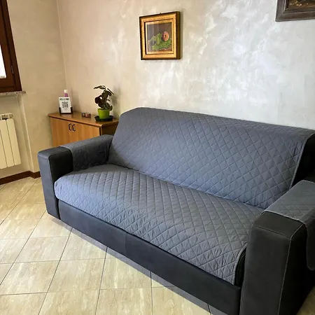 Rose E Frutta - Yellow Daisy Ronchi Dei Legionari