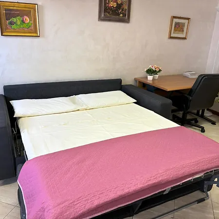 Rose E Frutta - Yellow Daisy * 론치데이레기오나리