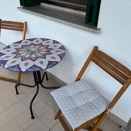 Rose E Frutta - Yellow Daisy